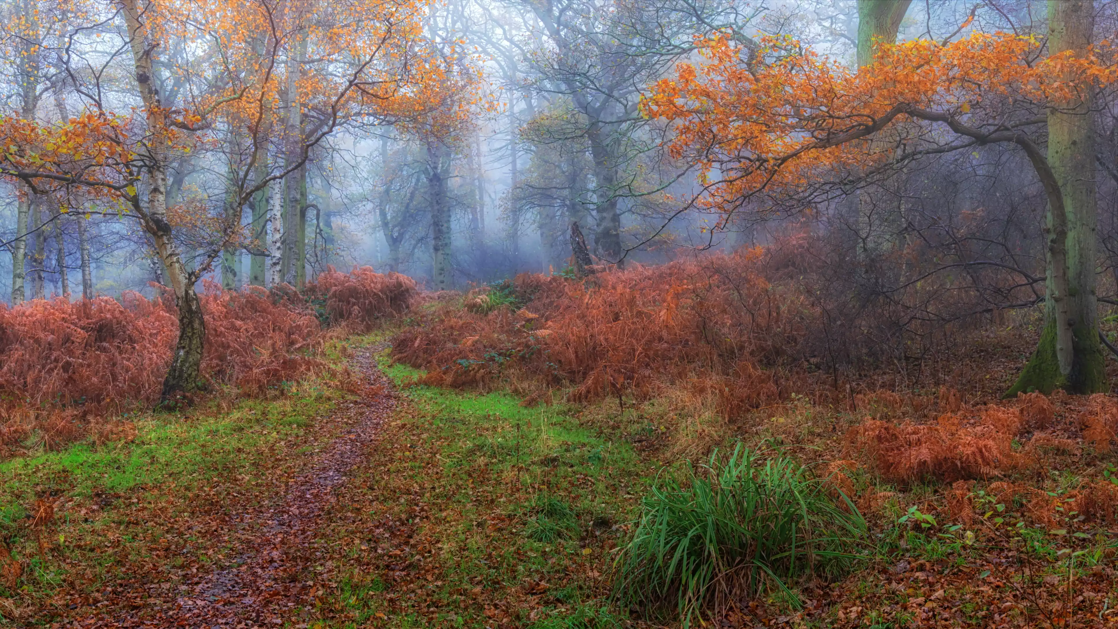 FRP内网穿透搭建